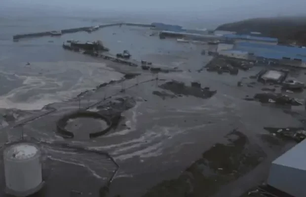 Шкода, що не військовий: Цунамі зруйнувало завод на Камчатці (відео) Шкода, що не військовий: Цунамі зруйнувало завод на Камчатці (відео)