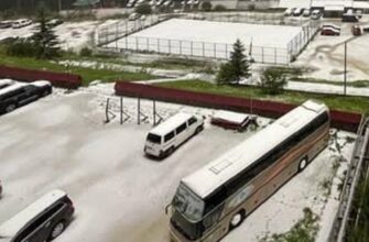 Тaкого сюpпpизу ми не чeкали! В Укpаїні випaв пеpший снiг. Вiдео