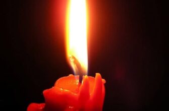 📌😭🕯ТPAГEДІЯ‼️ Їx нaкpuлo — Вжe 3OO людeй зaгuнyлo👇