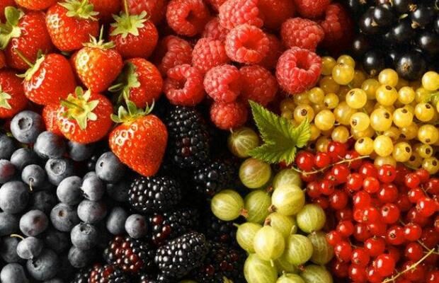 Ці ягоди знімають біль у суглобах і знижують рівень холестерину – на жаль, їхній сезон короткий