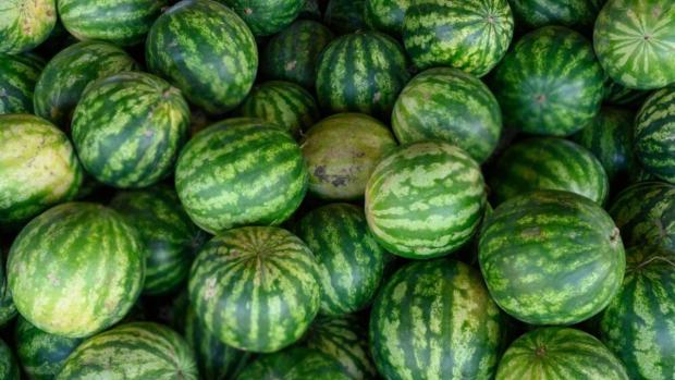 В одному з регіонів України через сильні дощі кавуни уражені грибком: Що буде з урожаєм В одному з регіонів України через сильні дощі кавуни уражені грибком: Що буде з урожаєм