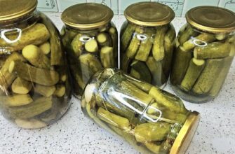 Огірки «2000» — Секрет моєї популярності на Базарі. Їх хвалять навіть конкуренти