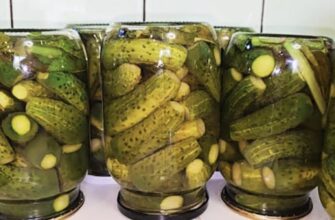 Огірки «Зимові» — Рецепт на всі 100! Ці огірки прославили мене на все село