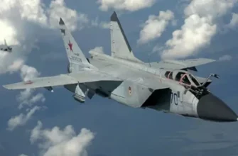 12 хвилин – це безмежно багато, а МіГ-31 – не фанерний дрон. Естонія мала щось зробити, – Ігаль Левін