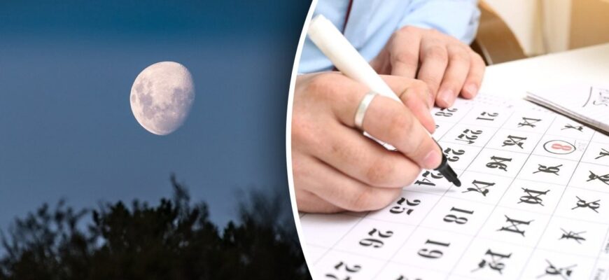 Дні для посадок і робіт у саду та городі: місячний календар жовтня 2025