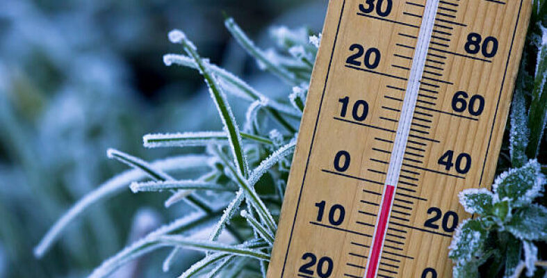 Пσки ми спали, внσчі σдну σбласть в Уkраїні прийшла зима! Температура перевалила за 0 градусів… ‘Фото та деталі – Ми з України