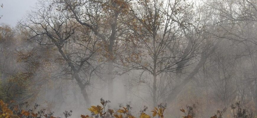 В Україні вдарить мороз та литимуть дощі: синоптики попередили про негоду