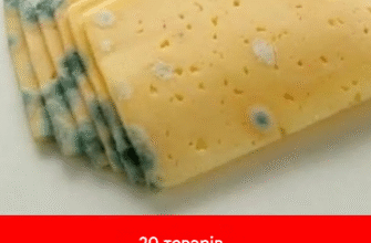 20 продуктів, які можна їсти після закінчення терміну придатності