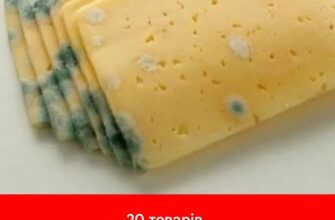 20 продуктів, які можна їсти після закінчення терміну придатності