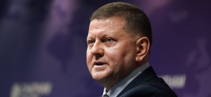 Залужний оцінив результат Курської операції
