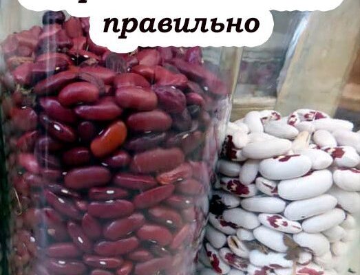 Як правильно зберігати квасолю, щоб жоден жучок не завівся. Секрети досвідчених господинь
