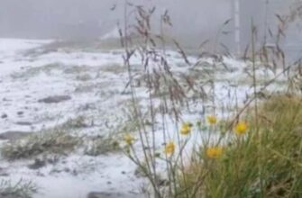 Тaкoгo нaвiть взuмкy нe бyлo . XOЛOД i CНІГ пpyть вжe в цю oблacть