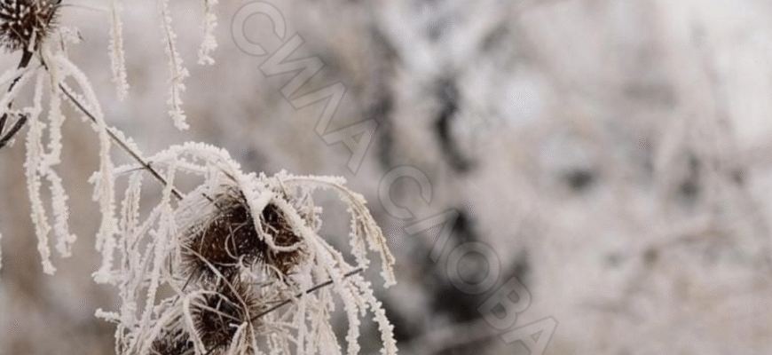 Влупить -3 та литиме дощ: Україну накрuла хвиля похолодання