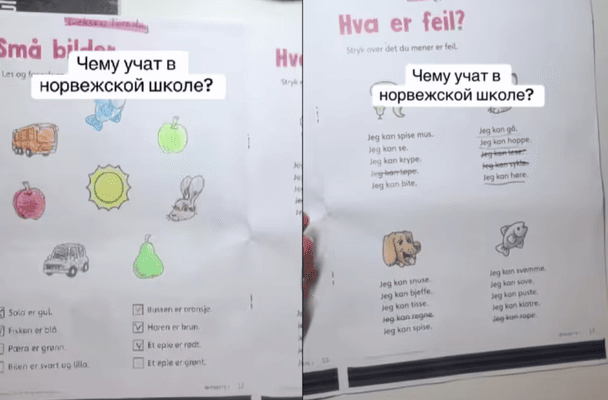 Не дарма психіка стійкіша: Українка в Норвегії була шокована рівнем шкільних завдань для третьокласників