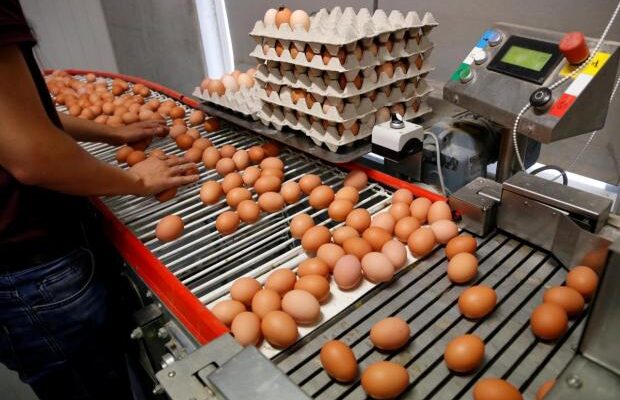 “Не відповідають нашим нормам та очікуванням”: Одній із країн ЄС не до смаку українські яйця