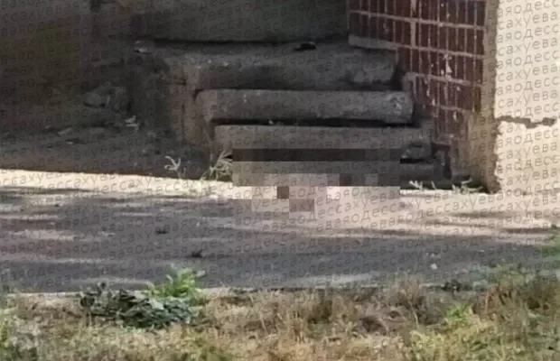 Немовля знайшли мертвим: В Одесі жінка викинула новонароджену дитину з вікна багатоповерхівки