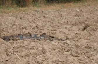 Неподалік кордону з Калінінградом: У Польщі виявили ще один російський БпЛА (фото)