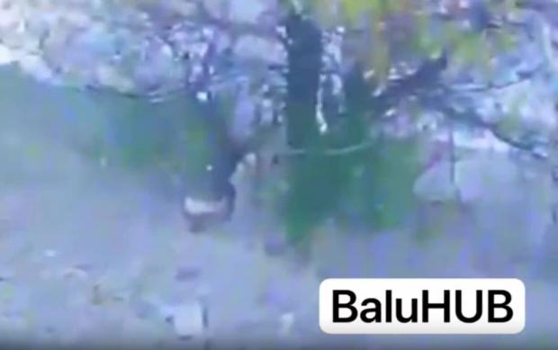 “По-дурному жив – по-дурному помер”: Дрон ЗСУ вразив в кущах окупанта зі спущеними штанами (відео 16+)