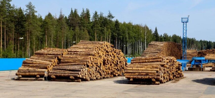 Санкції та витрати на війну добивають економіку РФ: тріщить по швах ще одна галузь агресора