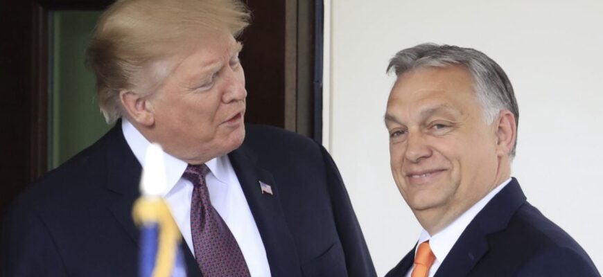 “Я поговорю з ним”: Трамп заявив, що візьметься за Орбана — що вимагатиме