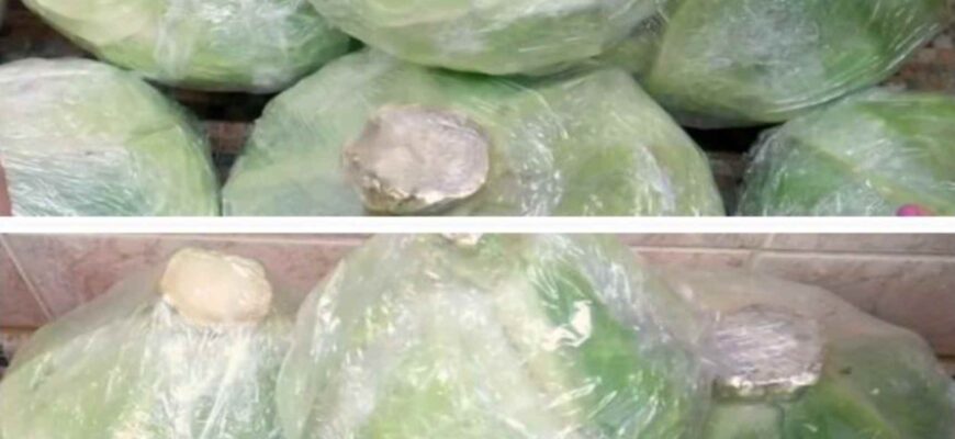 100% спосіб зберегти капусту свіжою до наступного урожаю. Роблю так уже 10 років.
