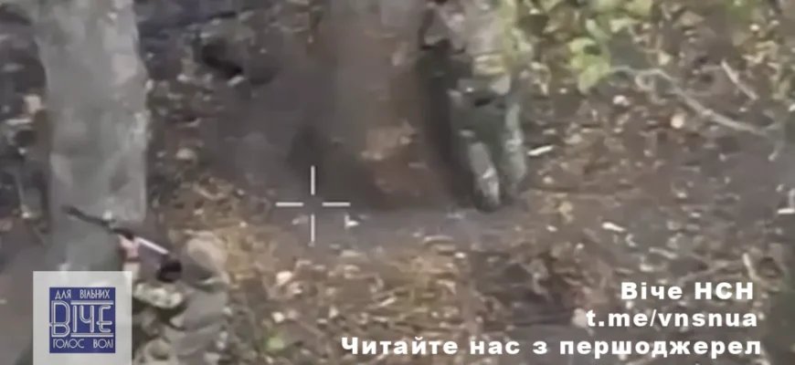 Прикордонники відбили штурм ЗС РФ на Курському напрямку. Відео