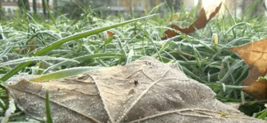 Сильні заморозки та +12 вдень: синоптик Діденко попередила – негода розповзається областями – погода на завтра