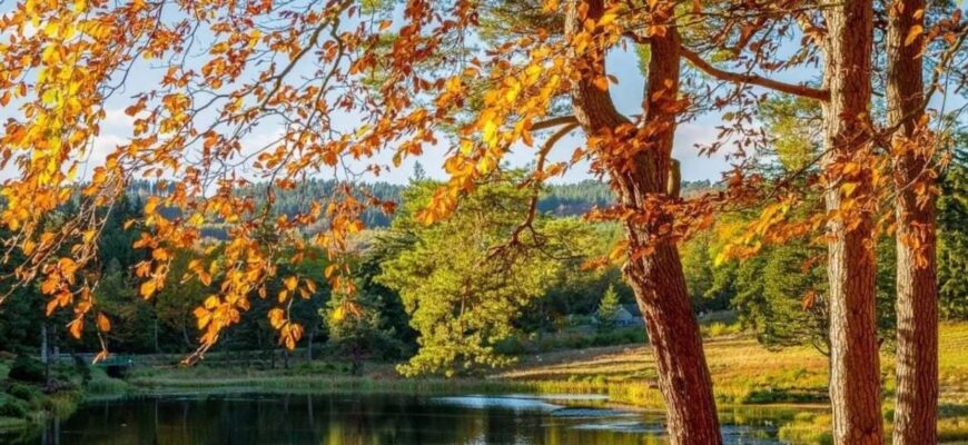 Синоптик поділилася прогнозом погоди на вихідні та розповіла, коли чекати на похолодання з осінніми дощами.