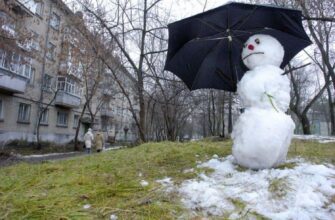 Тепліше та коротше: синоптик розповіла, які сюрпризи погода може готувати українцям узимку