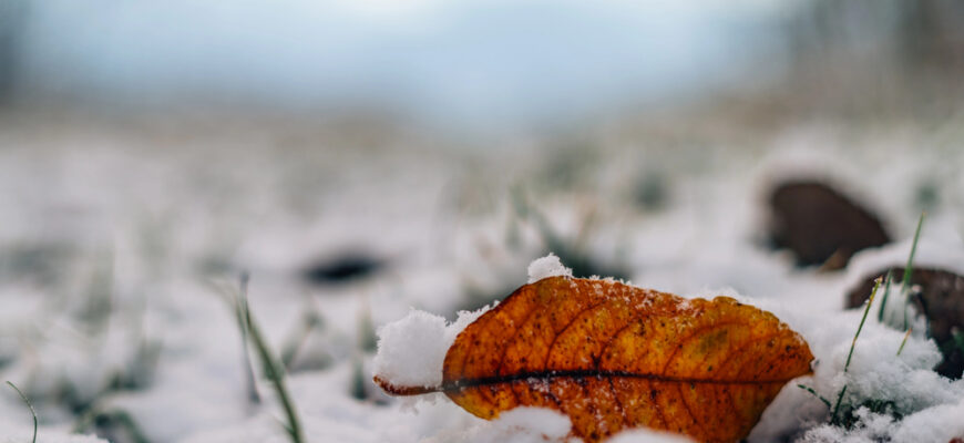 У двох частинах України прогнозують заморозки: синоптики попередили про зміну погоди з 25 вересня