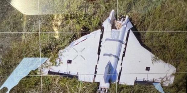 У Литві вирішили реагувати в разі зальоту російських дронів: Що збираються робити