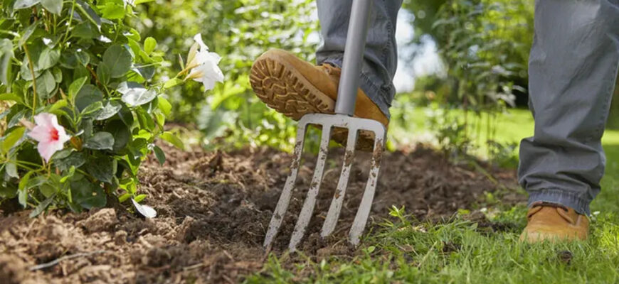 Тільки не свинячий: який гній внести на грядки вже зараз, щоб навесні отримати в двічі більше врожаю?