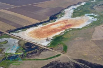 Вода перетворилася на сіль: На Одещині зафіксовано незвичне природнє явище (фото)