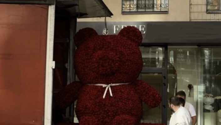 “Люди без житла лишаються, а хтось із жиру біситься”: У Києві дівчині подарували ведмедя з живих троянд за понад пів мільйона гривень (відео)