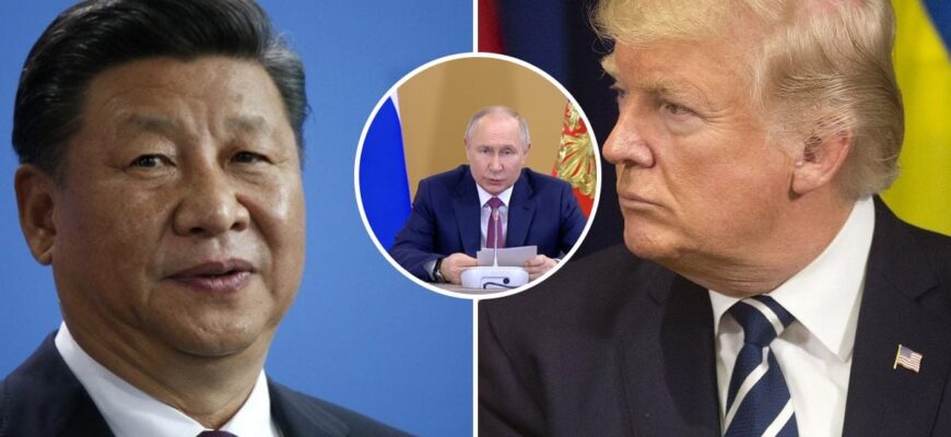 Трамп і Сі Цзіньпін домовилися щодо питання війни в Україні – перші подробиці