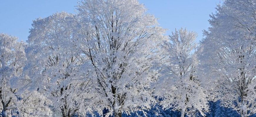 Заморозки та сильні дощі накриють Україну: якою буде погода у жовтні