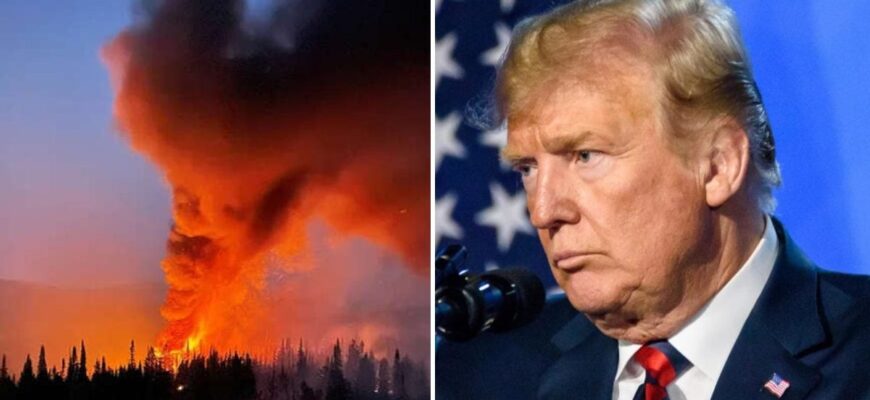 Удари України по енергетиці РФ: Жданов розкрив позицію Трампа