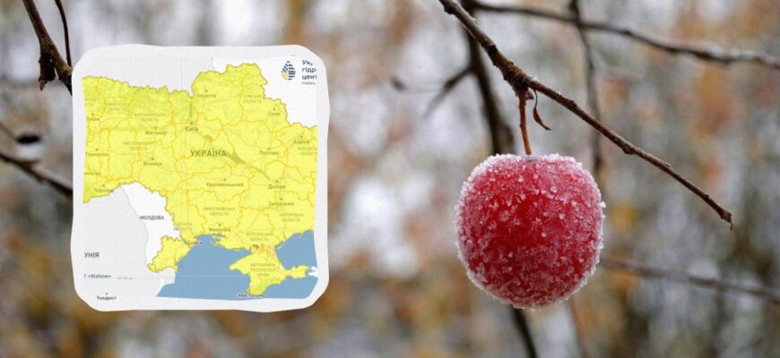 Заморозки будуть сильнішими, ніж очікувалося: Укргідрометцентр оновив прогноз (карта)