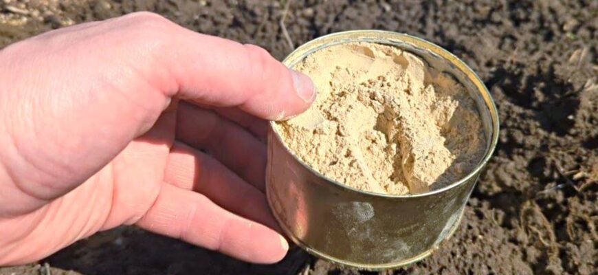 Замість гною посипаю грядки цим “золотом”: ціна 100 грн, але я б і мільйон віддала — все росте по годинах