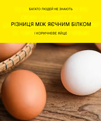 Білі та коричневі яйця: які відмінності?