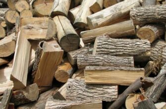 Дуб, береза чи сосна? Дізнайтесь, які дрова справді найкраще обігрівають дім