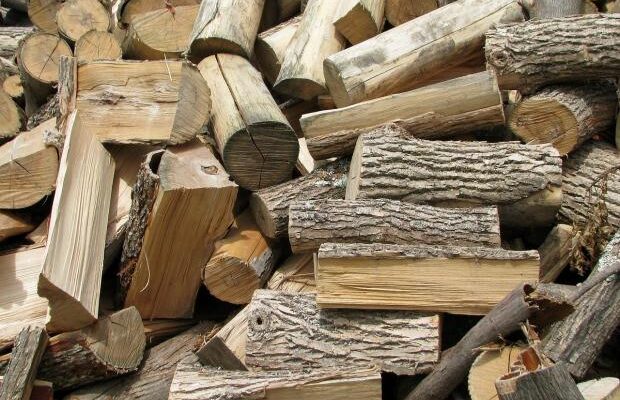 Дуб, береза чи сосна? Дізнайтесь, які дрова справді найкраще обігрівають дім