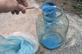 300 грамів на 10 літрів води, і восени обприскую смородину і аґрус — обов’язково: ягоди будуть по 30 г кожна