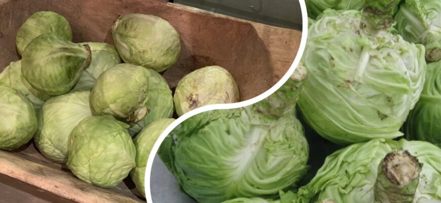 Не могла повірити, що ТАК капуста зберігається цілий рік: 1 хитре місце замість льоху та холодильника