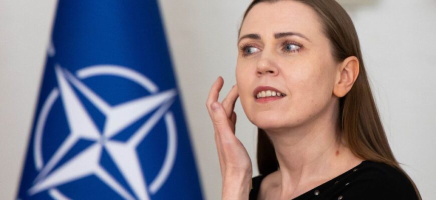 У Литві звільняють з посади міністра оборони після гучної суперечки