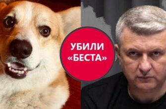 Під Києвом у Романенка сусід убив коргі – пострілом із рушниці серед білого дня (ФОТО)