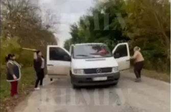 Рятували чоловіків? Під Хмельницьким жінки з ціпками напали на автомобіль ТЦК (відео)