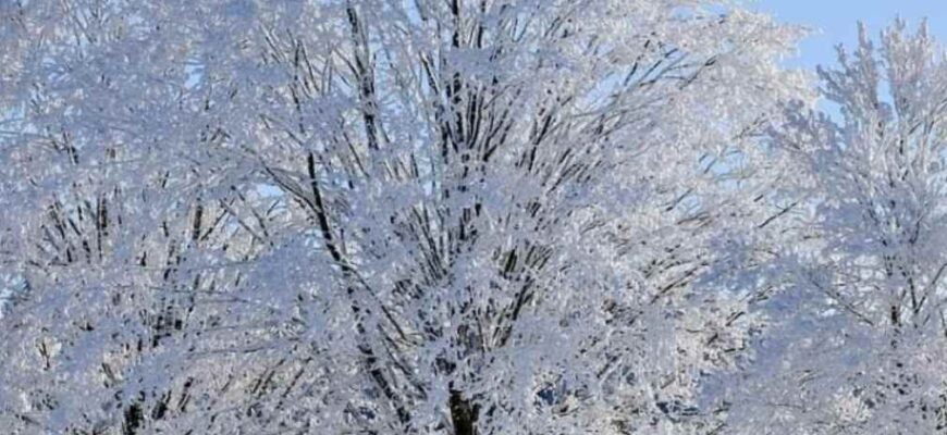 Сніг, дощ та мороз накриють Україну: синоптики оголосили штормове попередження