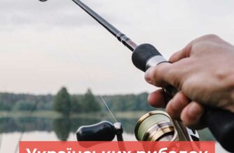 Українських рибалок почали штрафувати на тисячі гривень: стала відома причина
