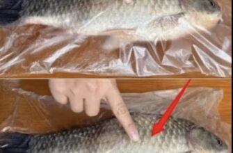 Лише зараз дізналася, що для чищення луски з риби потрібний лише поліетиленовий пакет. Луска не відлітає, руки не бруднить, а сам процес чистий і швидкий